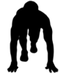 marathon image